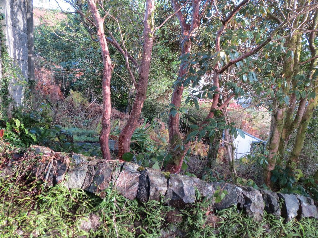 Elmbank Garden Apartment Oban Bilik gambar